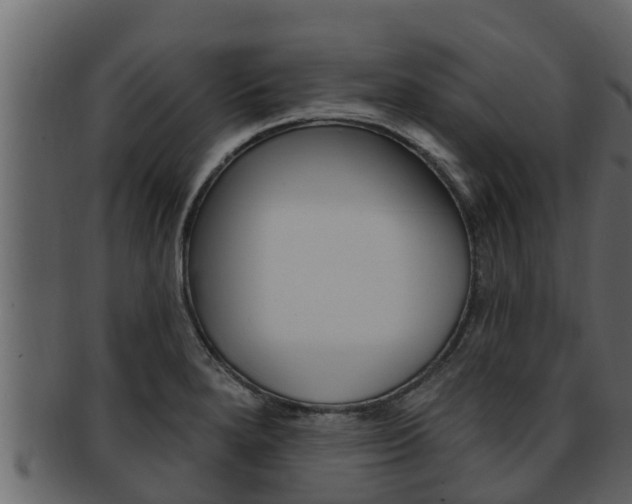 X0000093221280200709261438