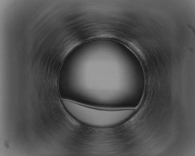 X0000093221281200709261438