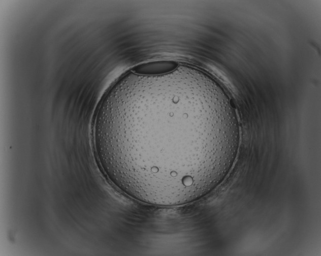 X0000093221283200709261438