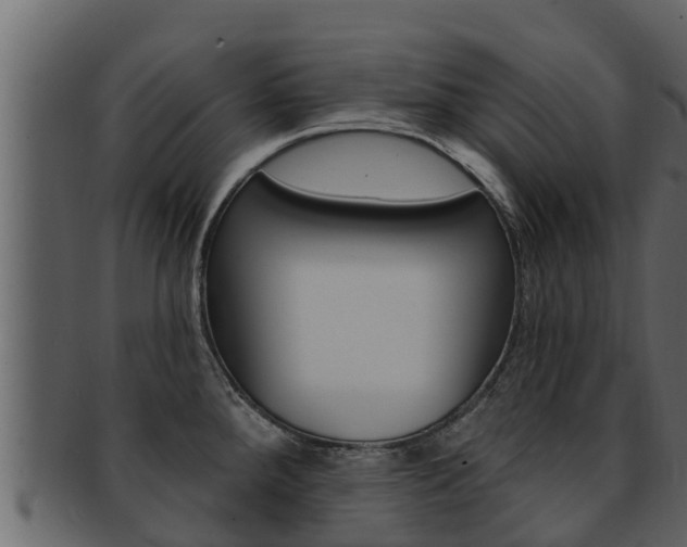 X0000093221288200709261438