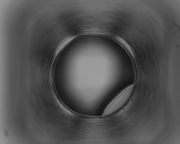 X0000093221293200709261438
