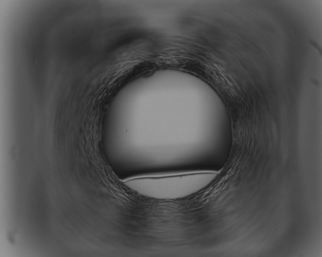 X0000093221297200709261437