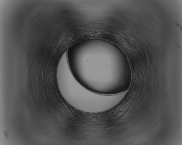 X0000093221298200709261437