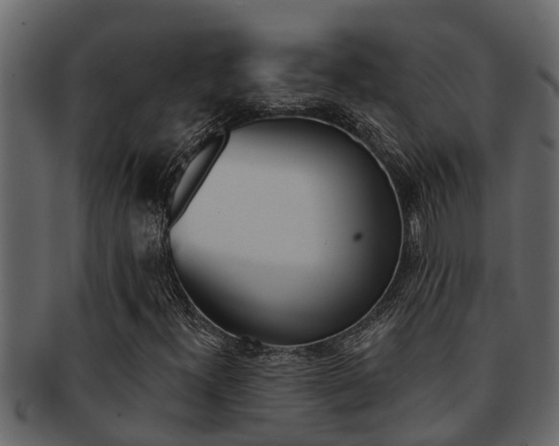 X0000093221300200709261437