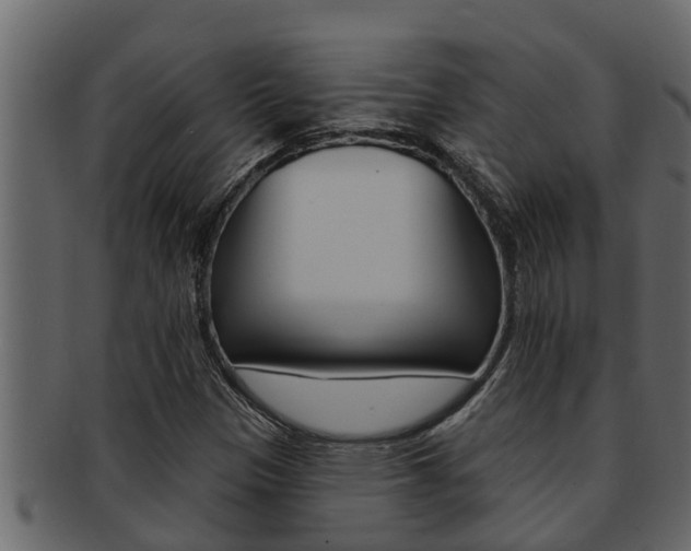 X0000093221305200709261437
