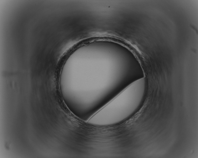 X0000093221311200709261437