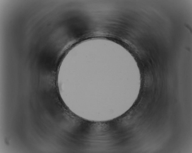 X0000093221314200709261437