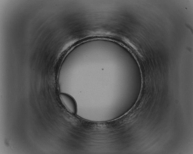 X0000093221315200709261437