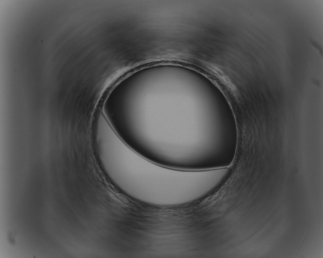 X0000093221316200709261437