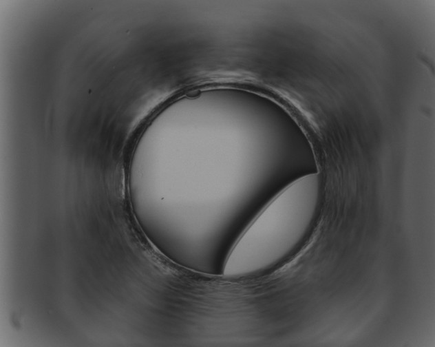 X0000093221317200709261437