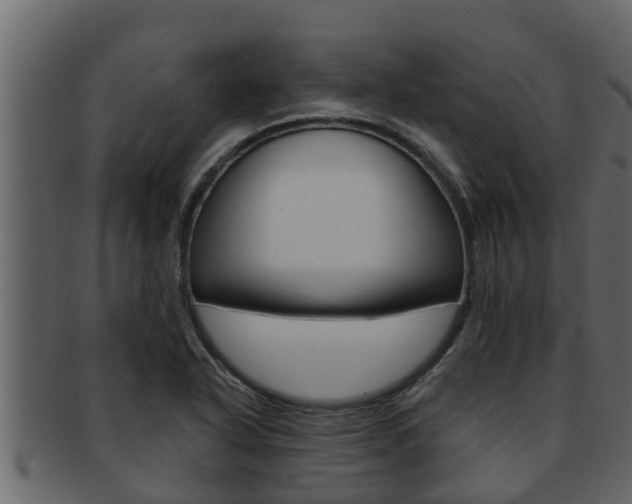 X0000093221318200709261437