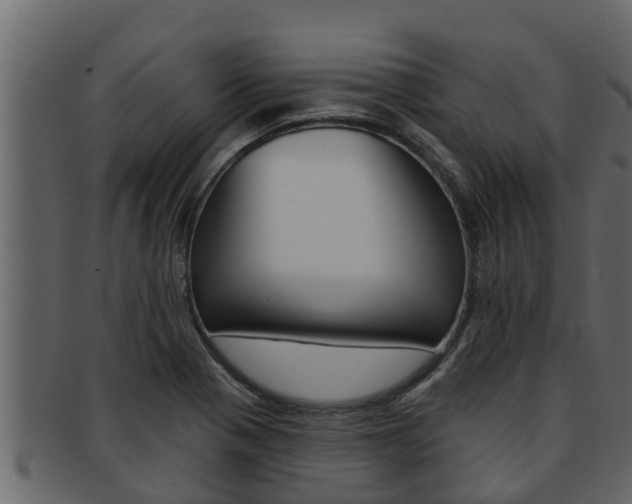 X0000093221321200709261437