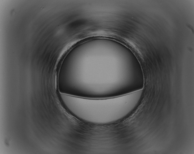 X0000093221323200709261437