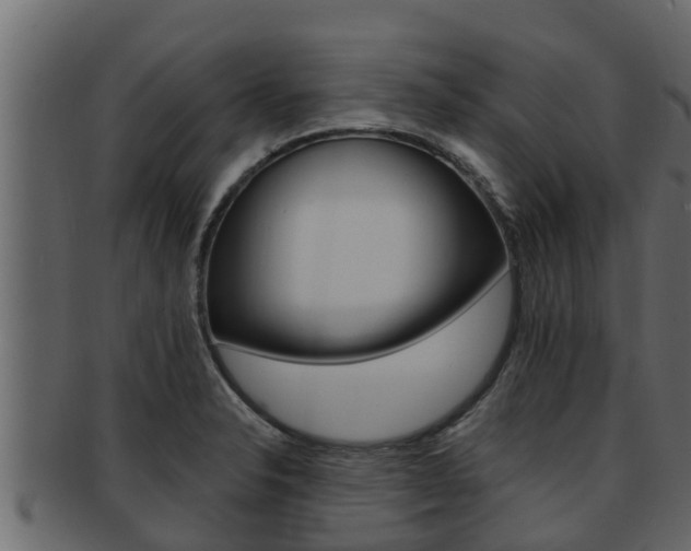 X0000093221326200709261437