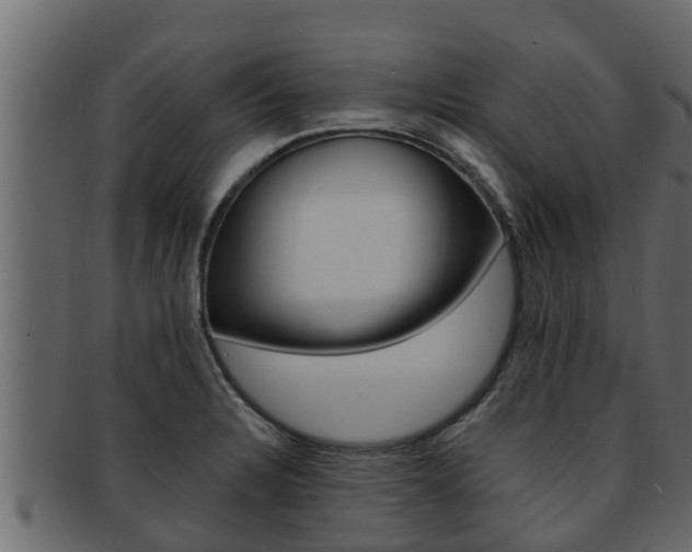 X0000093221328200709261437