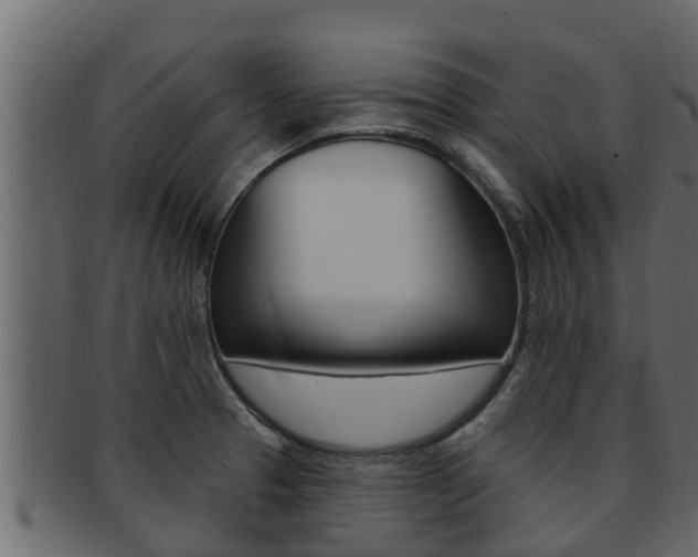 X0000093221329200709261437