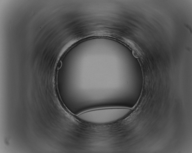 X0000093221331200709261437