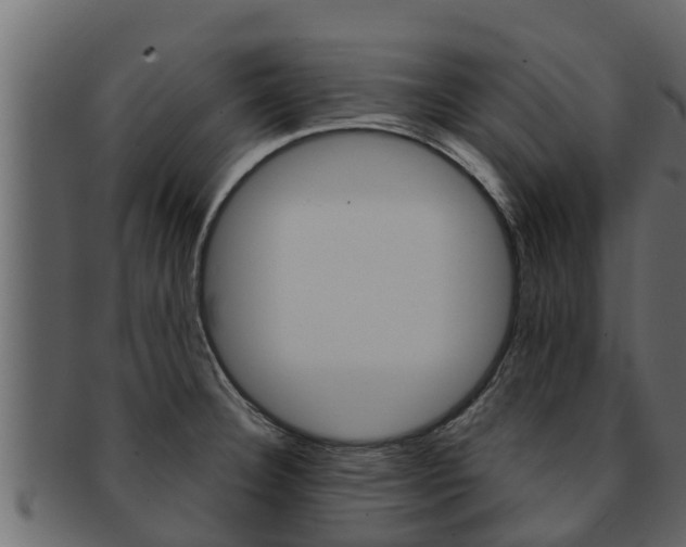 X0000093221332200709261437