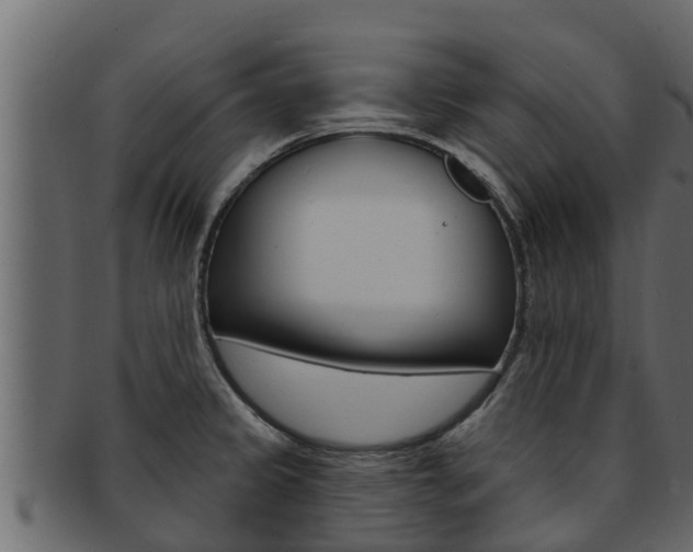 X0000093221333200709261437
