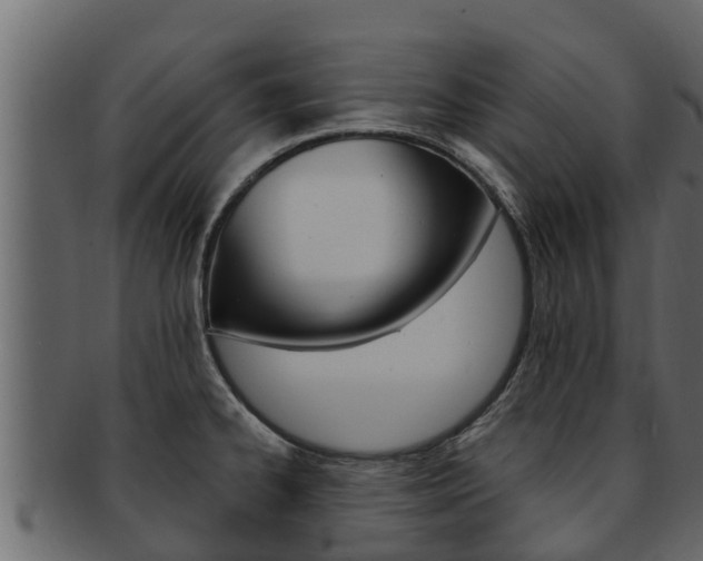X0000093221334200709261437