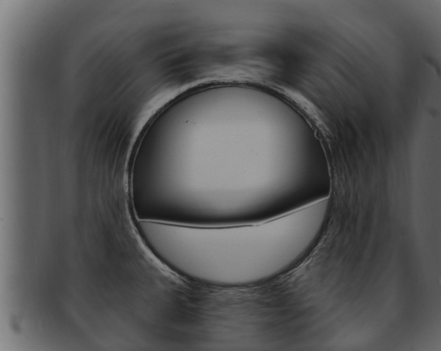 X0000093221335200709261437