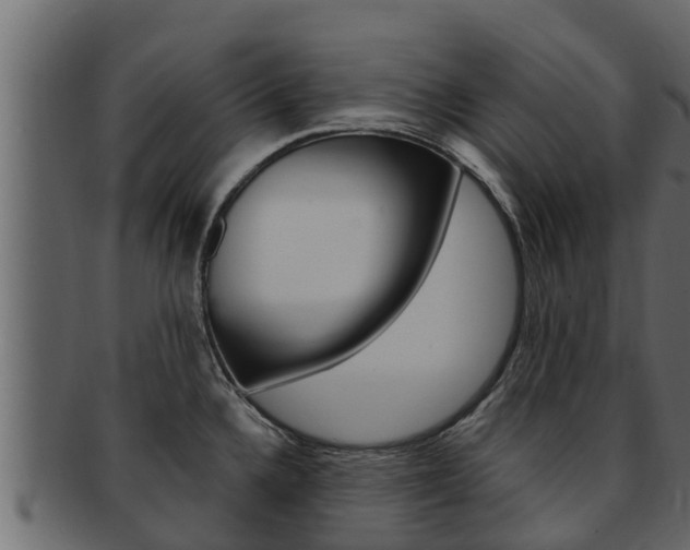 X0000093221336200709261437