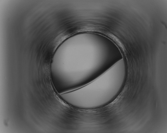 X0000093221337200709261437