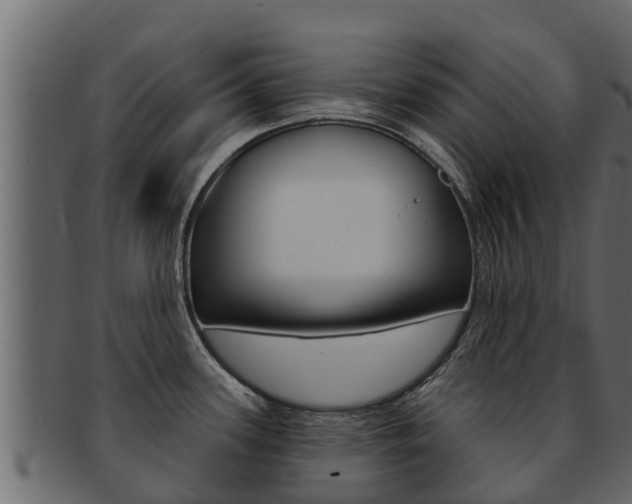X0000093221339200709261437