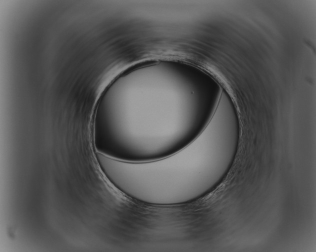 X0000093221344200709261438