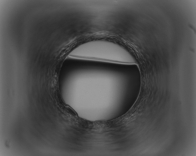X0000093221349200709261437
