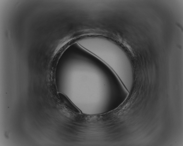 X0000093221352200709261437