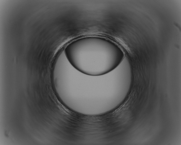 X0000093221356200709261437