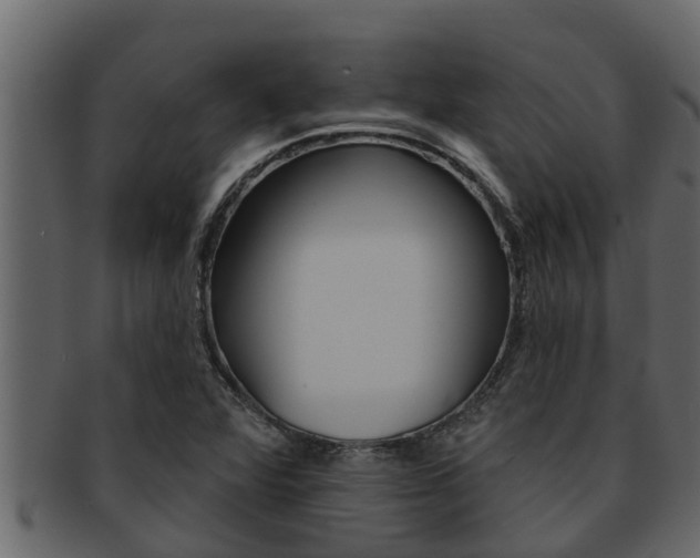X0000093221360200709261437