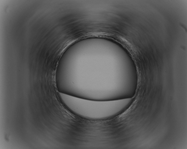 X0000093221361200709261437