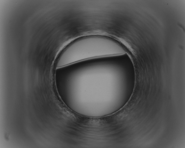 X0000093221364200709261437