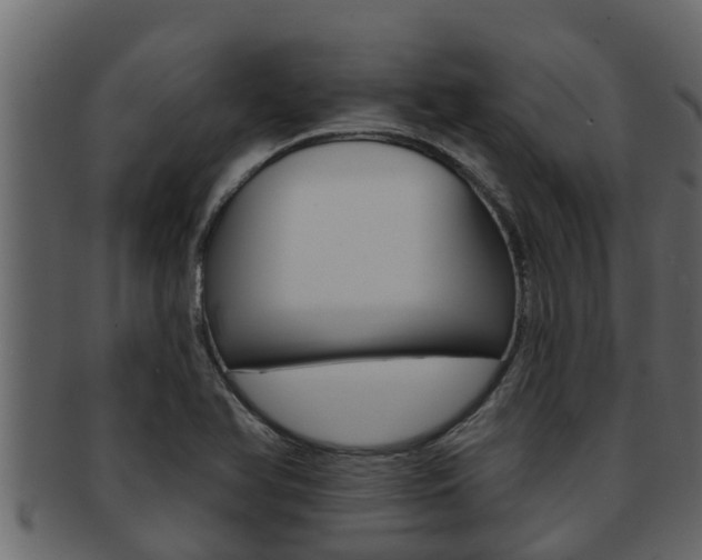 X0000093221366200709261437