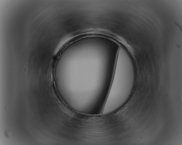 X0000093221368200709261437