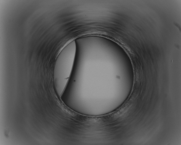 X0000093221369200709261436