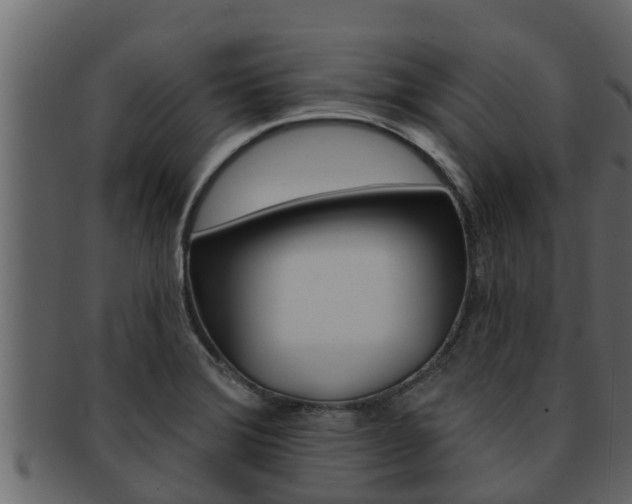 X0000093221372200709261436