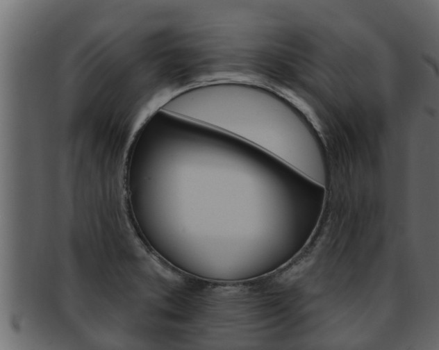 X0000093221373200709261436