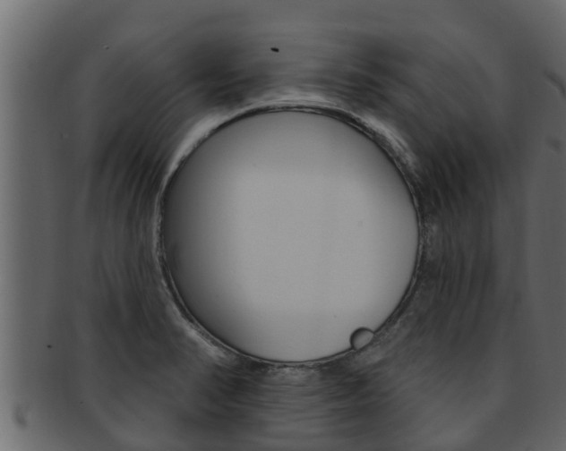 X0000093221374200709261436