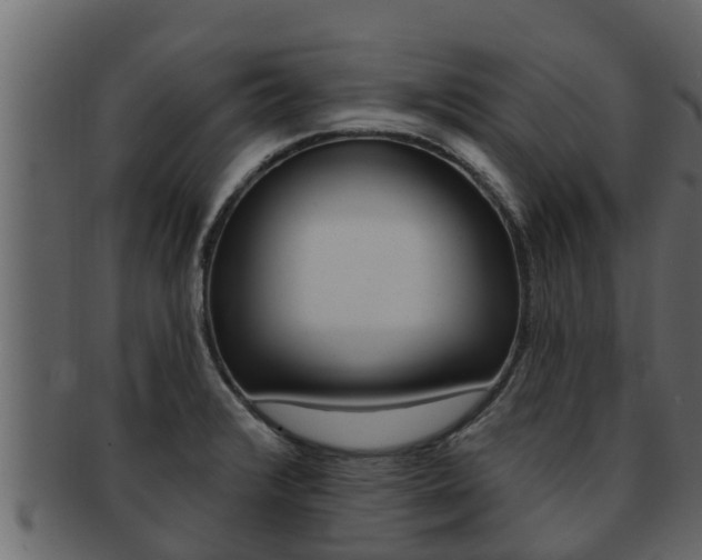 X0000093221376200709261436