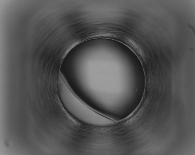 X0000093221377200709261436