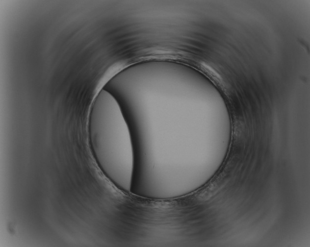 X0000093221378200709261436