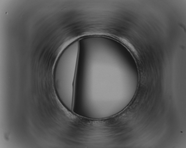 X0000093221380200709261436