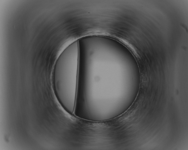 X0000093221383200709261436