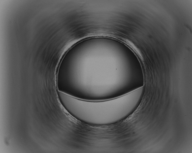 X0000093221388200709261436