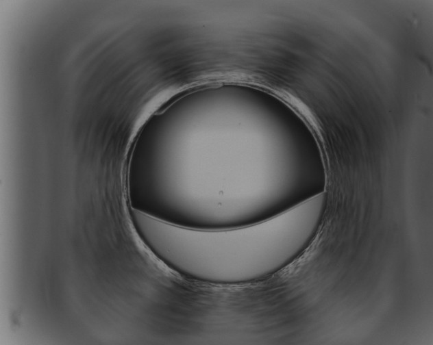 X0000093221389200709261436