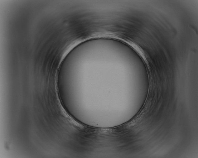 X0000093221390200709261436