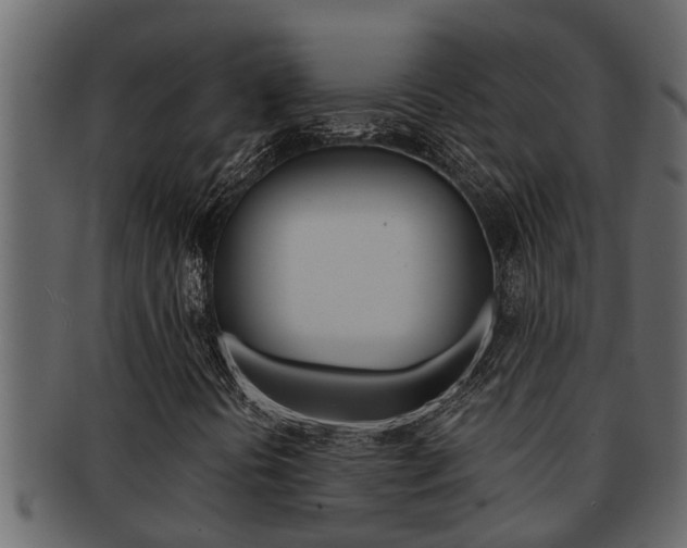 X0000093221394200709261435